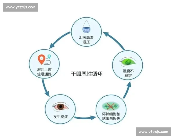 电竞干眼症的发病机制、危害及预防对策研究