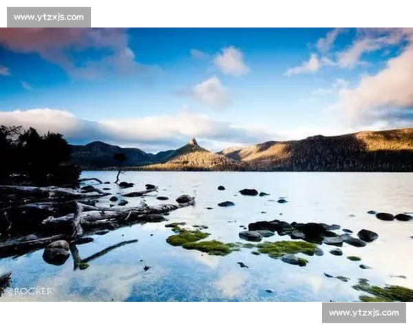 赛场内外皆风景，大洋洲电竞女选手的美丽与实力并存
